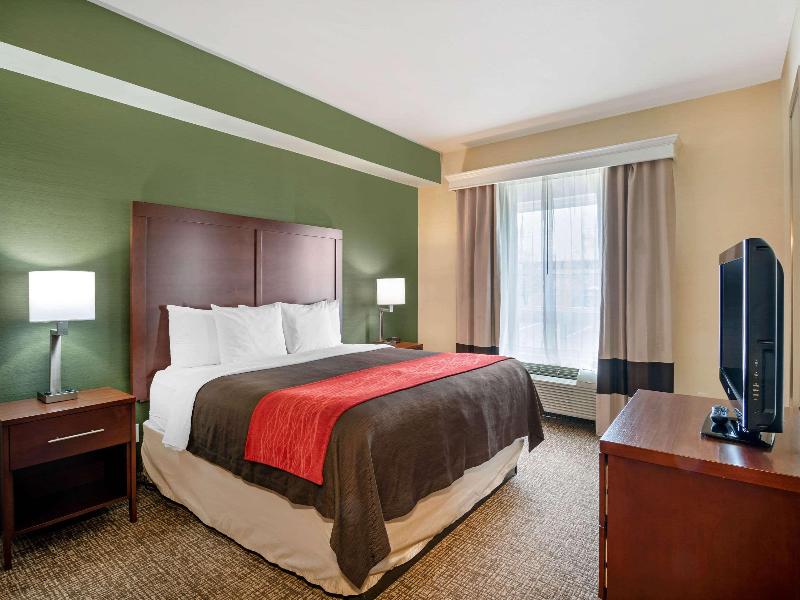 Comfort Inn & Suites Salem image