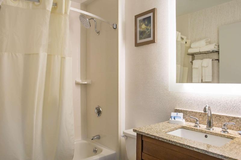 Spark by Hilton Milford Boston image