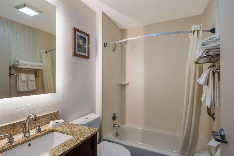 Spark by Hilton Milford Boston image