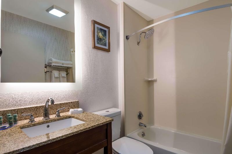 Spark by Hilton Milford Boston image