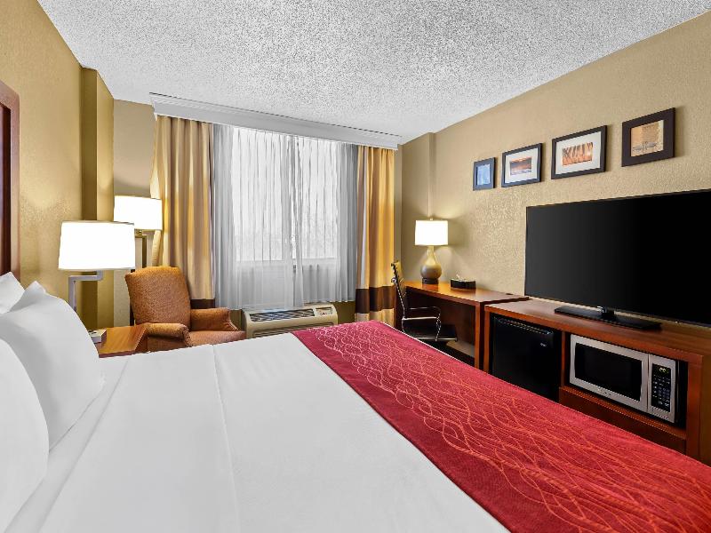 Comfort Inn & Suites Lakeland North I-4 image