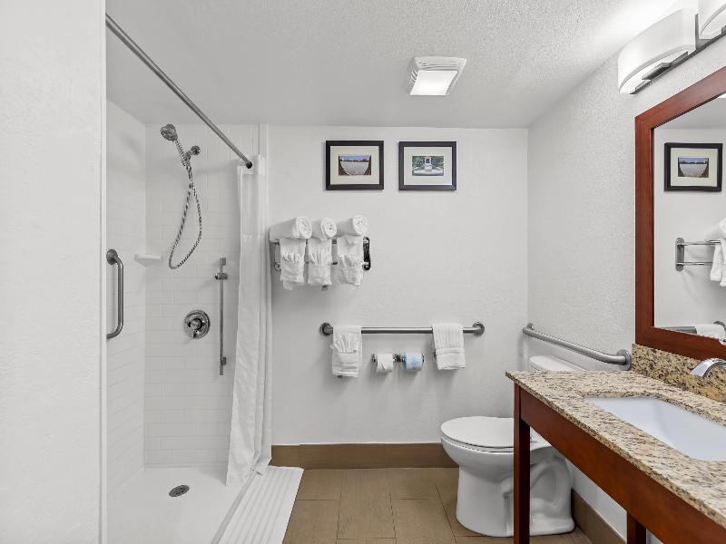 Comfort Inn & Suites Lakeland North I-4 image