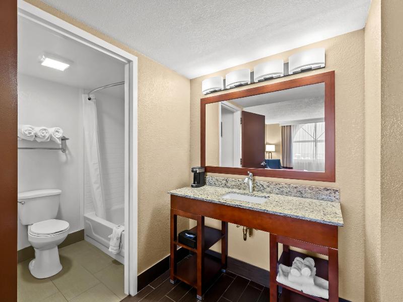 Comfort Inn & Suites Lakeland North I-4 image