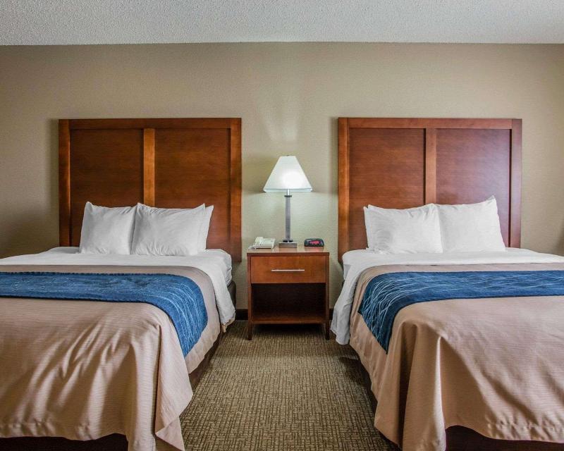 Comfort Inn & Suites Jackson - West Bend image