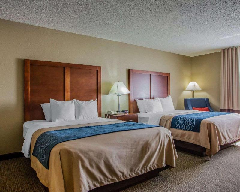 Comfort Inn & Suites Jackson - West Bend image