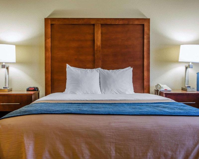 Comfort Inn & Suites Jackson - West Bend image