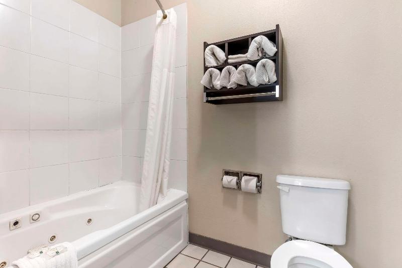 Quality Inn & Suites Wichita Falls I-44 image