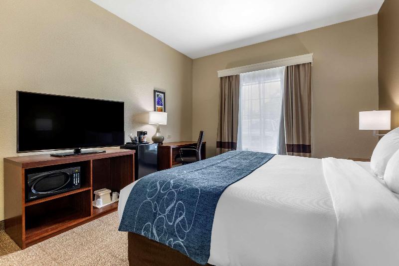 Comfort Inn & Suites Paris image