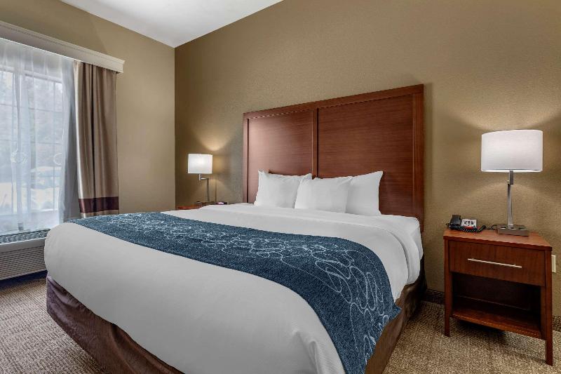 Comfort Inn & Suites Paris image