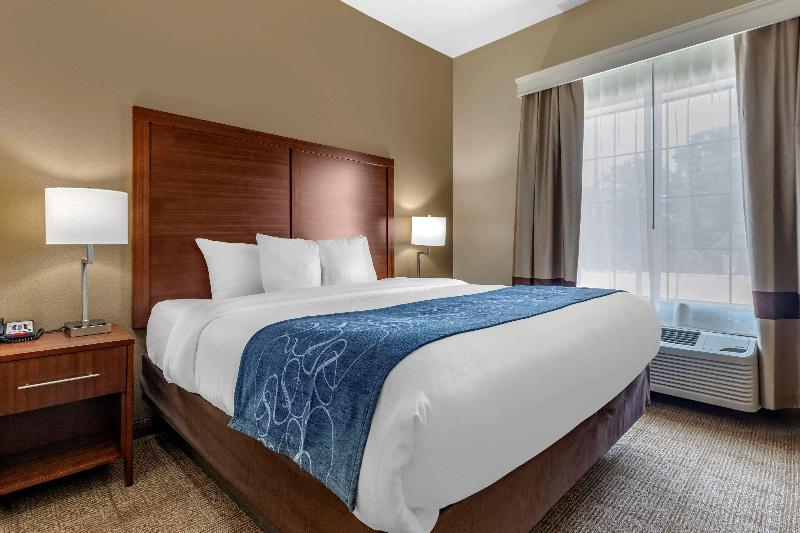 Comfort Inn & Suites Paris image