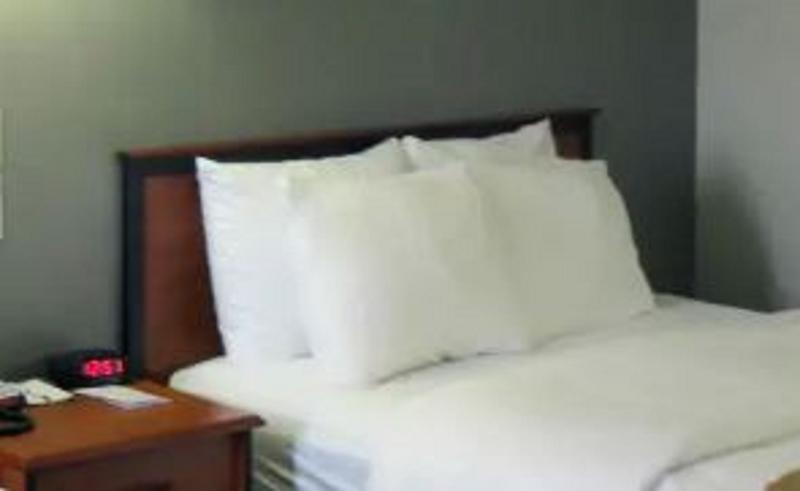 Quality Inn & Suites Salina National Forest Area image