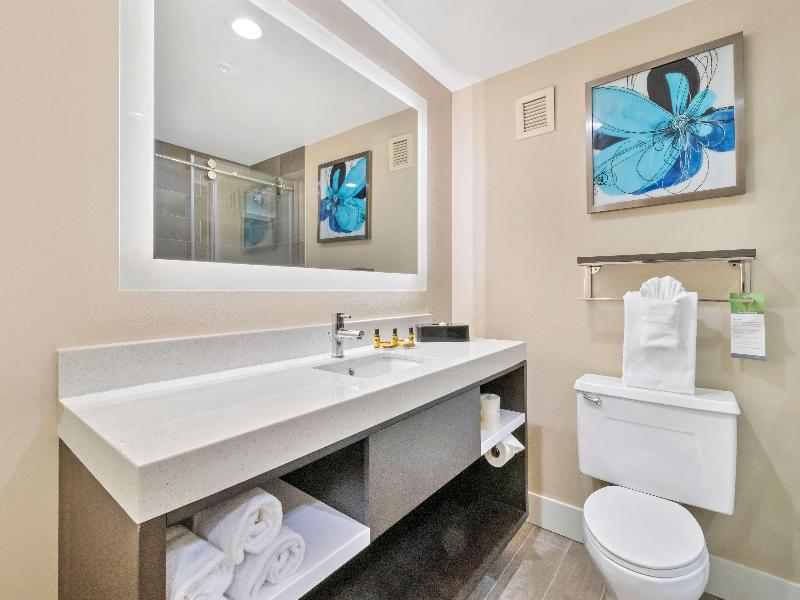 Best Western Plus Greenville I-385 Inn & Suites image