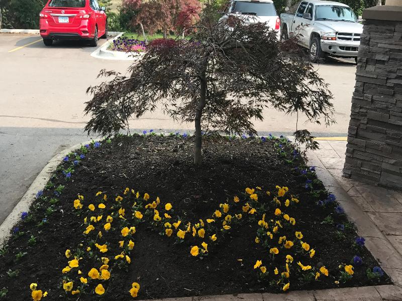 Wyndham Garden Ann Arbor image