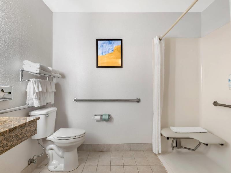 Comfort Inn & Suites Suwanee - Sugarloaf image