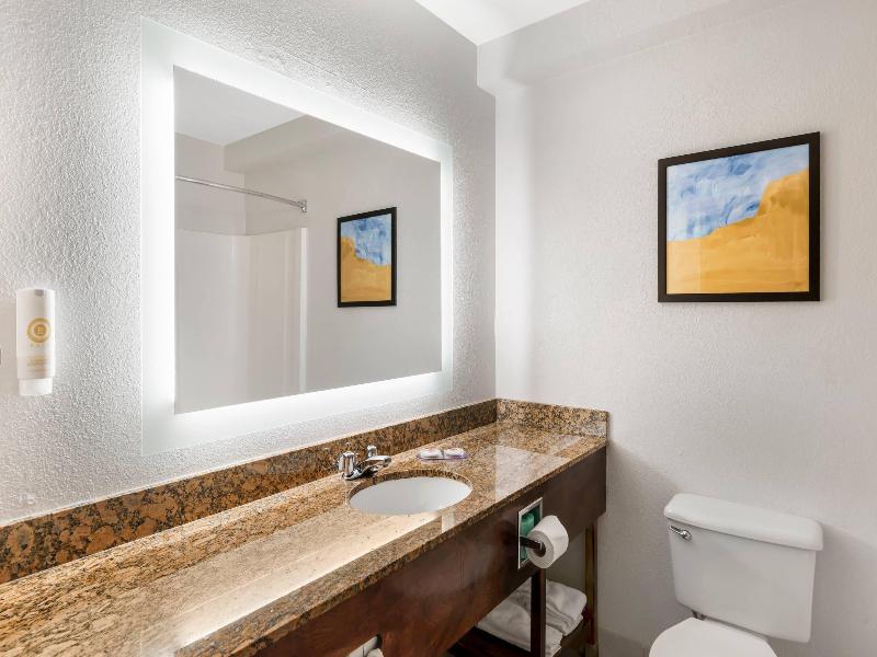 Comfort Inn & Suites Suwanee - Sugarloaf image