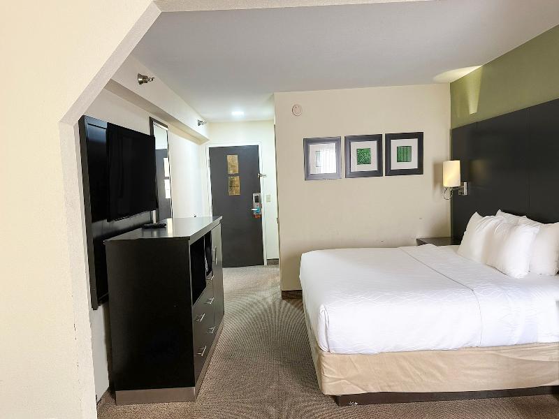 OYO Hotel Rome West GA image