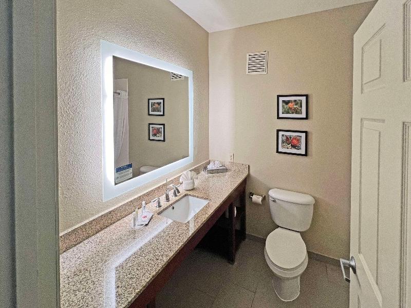 Comfort Suites Peoria Sports Complex image