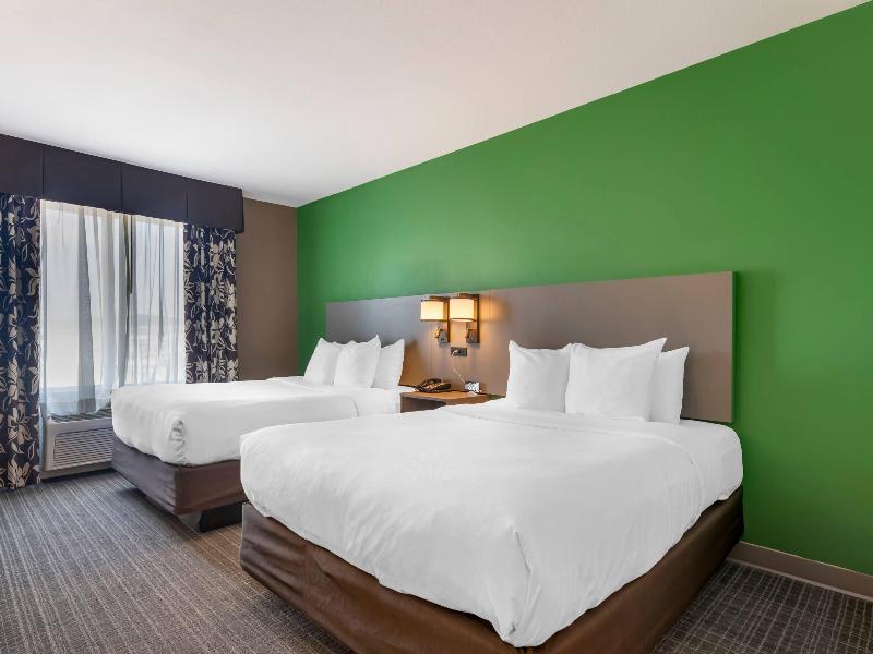 Comfort Suites Hotel & Convention Center In Rapid image