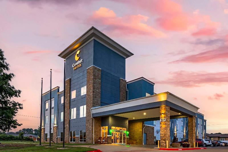 Comfort Suites Palestine Area image