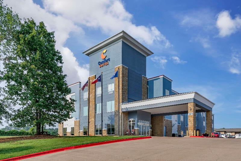 Comfort Suites Palestine Area image