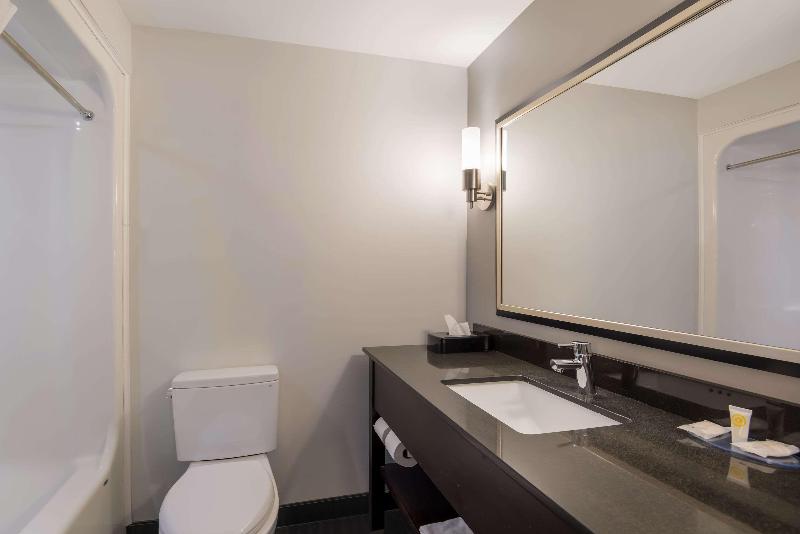 Quality Inn & Suites Downtown image