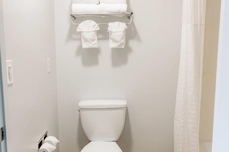 Quality Inn & Suites Lathrop image