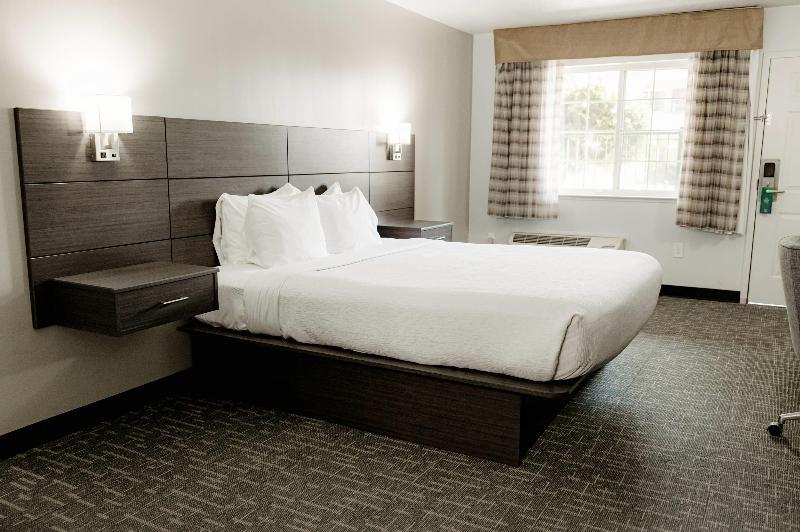 Quality Inn & Suites Lathrop image
