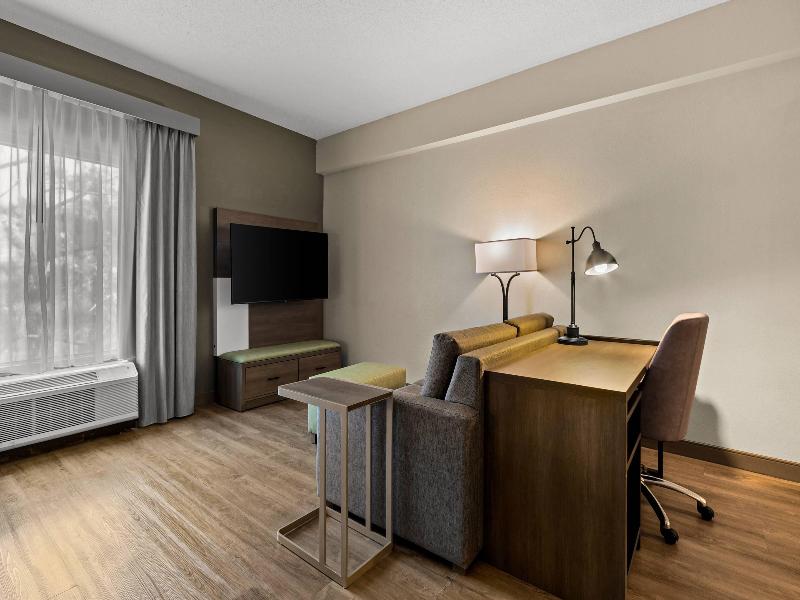 Comfort Suites West of the Ashley Mount Pleasant image