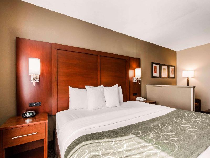 Comfort Suites Tuscaloosa Near University image