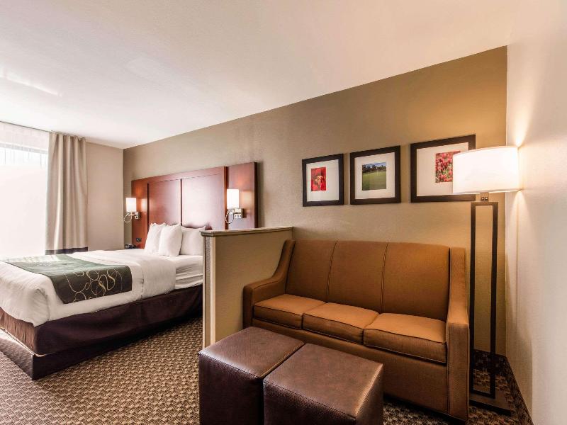 Comfort Suites Tuscaloosa Near University image