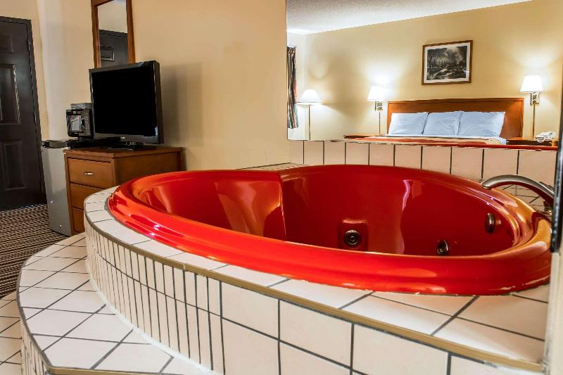 Econo Lodge Paw Paw Area image