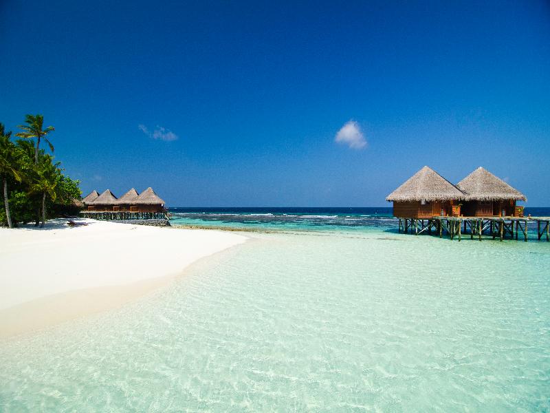 Mirihi Island Resort in Maldives Islands - Room Deals, Photos & Reviews