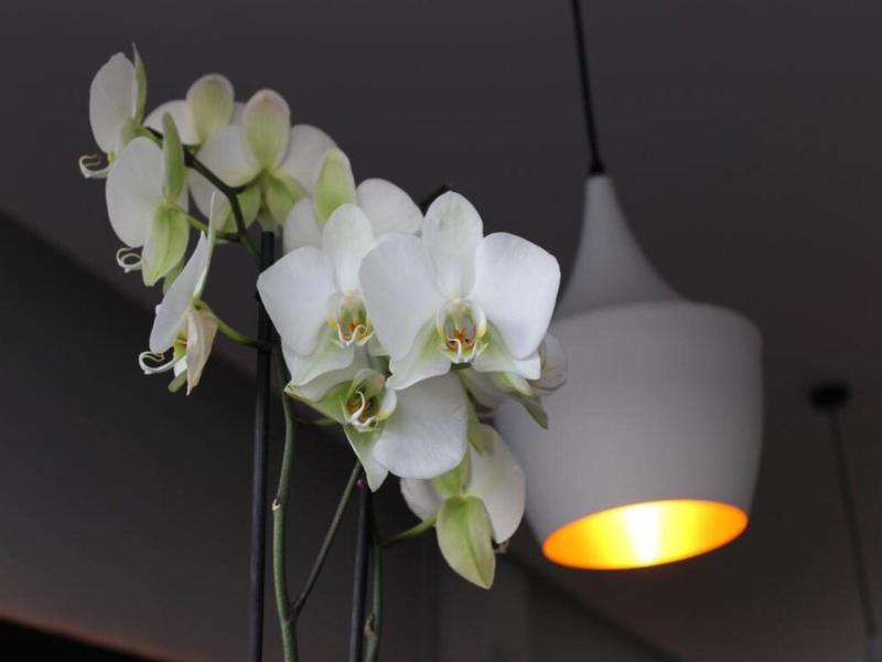 Hostal Balearic image