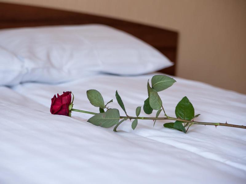 Hotel Hetmanski image