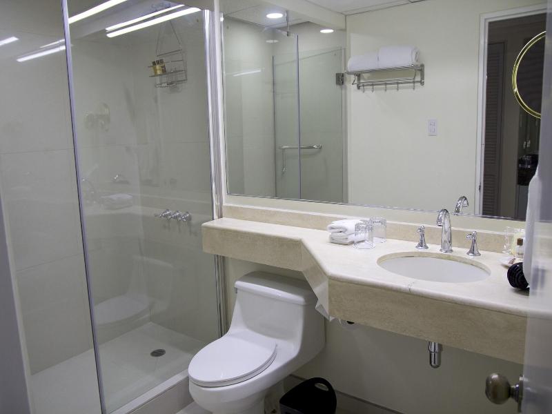 Sheraton Presidente image