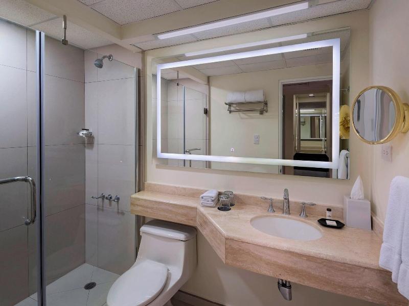 Sheraton Presidente image
