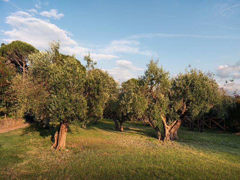 Borgo Tre Vaselle image