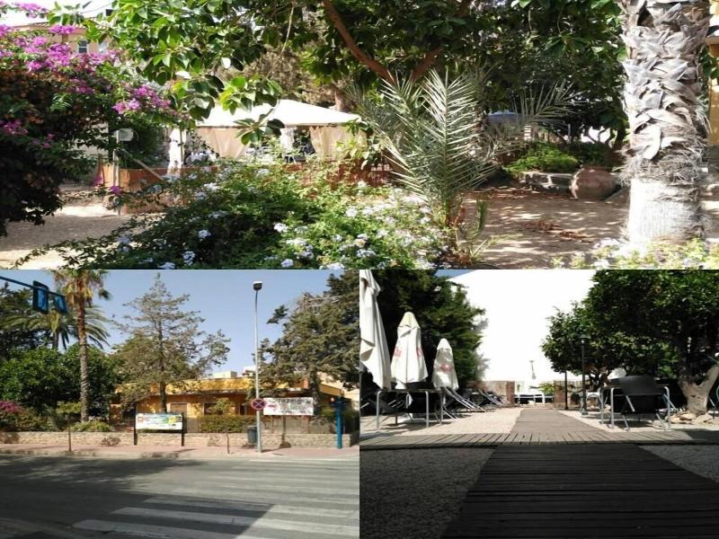 Los Bartolos image