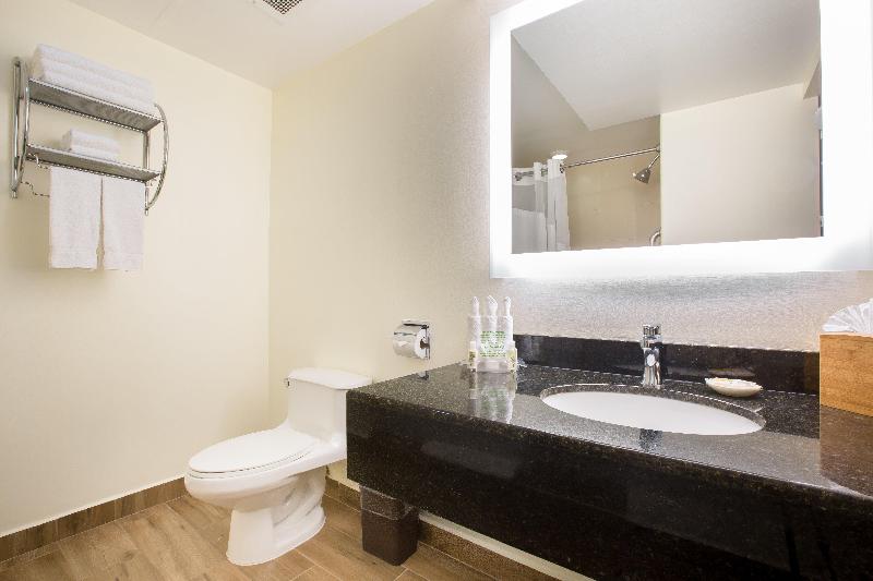 Holiday Inn San Salvador image