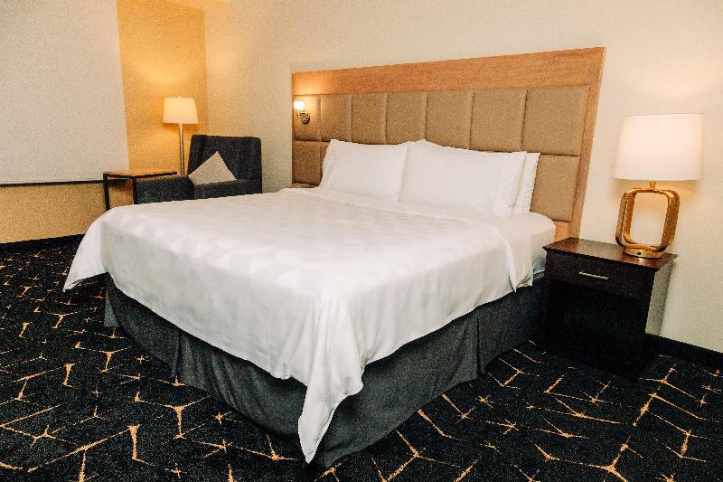 Holiday Inn San Salvador image