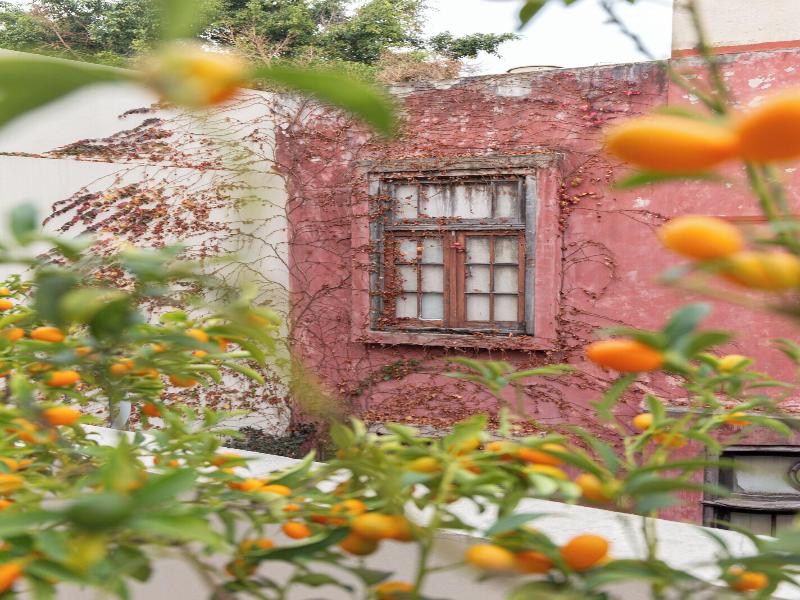 Casa Chic Hotel Boutique (b&b)  image