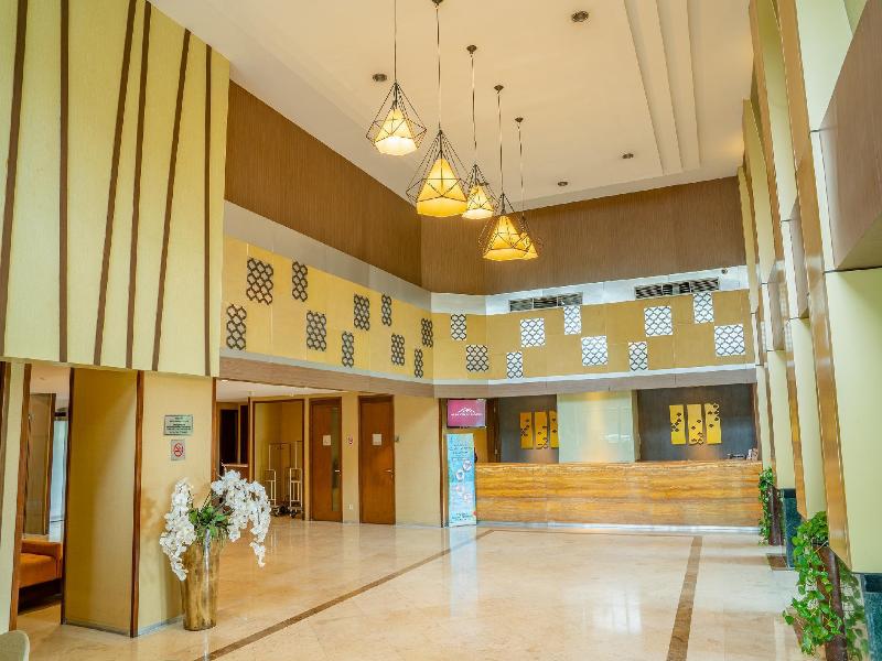 Alia Cikini image