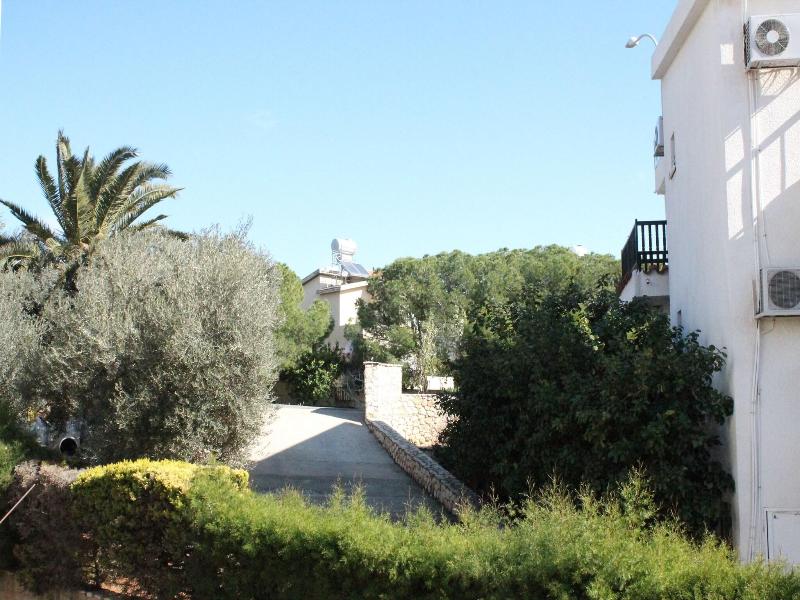 A. Maos Apts image