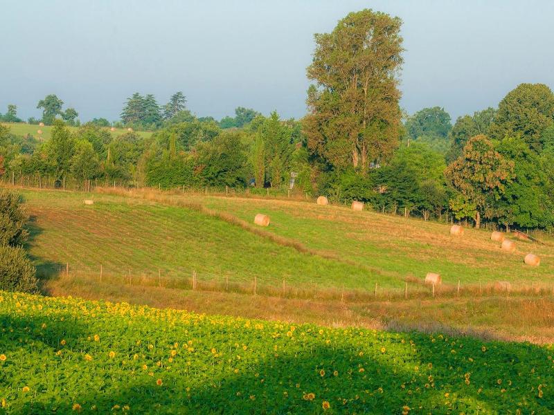 Du Golf D'Armagnac image
