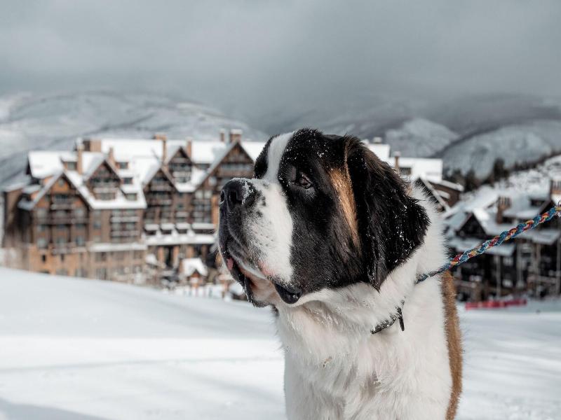The Ritz-Carlton, Bachelor Gulch