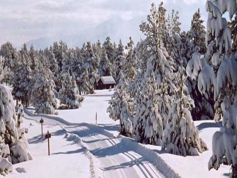 Ruso image