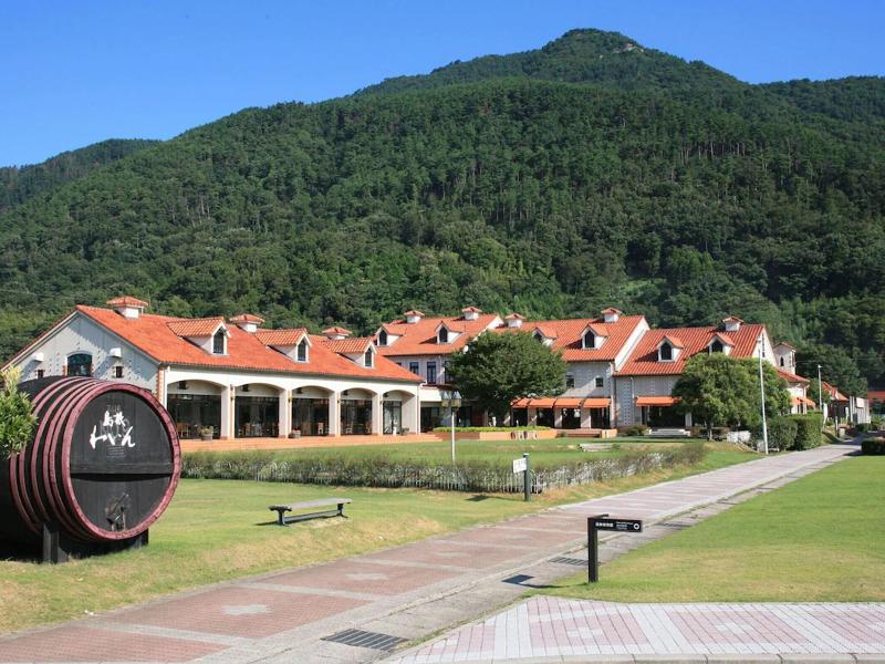 Toyoko Inn Izumo-shi Ekimae image