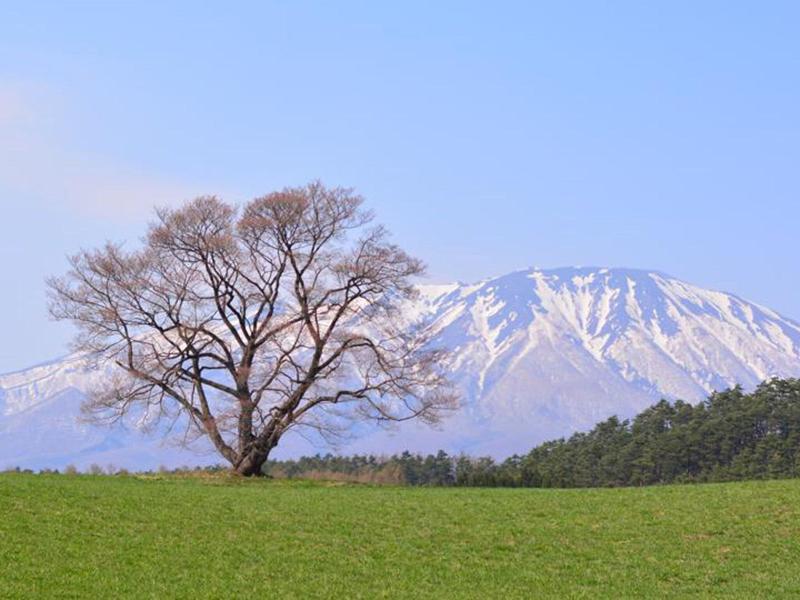 Toyoko Inn Kitakami-eki Shinkansen-guchi