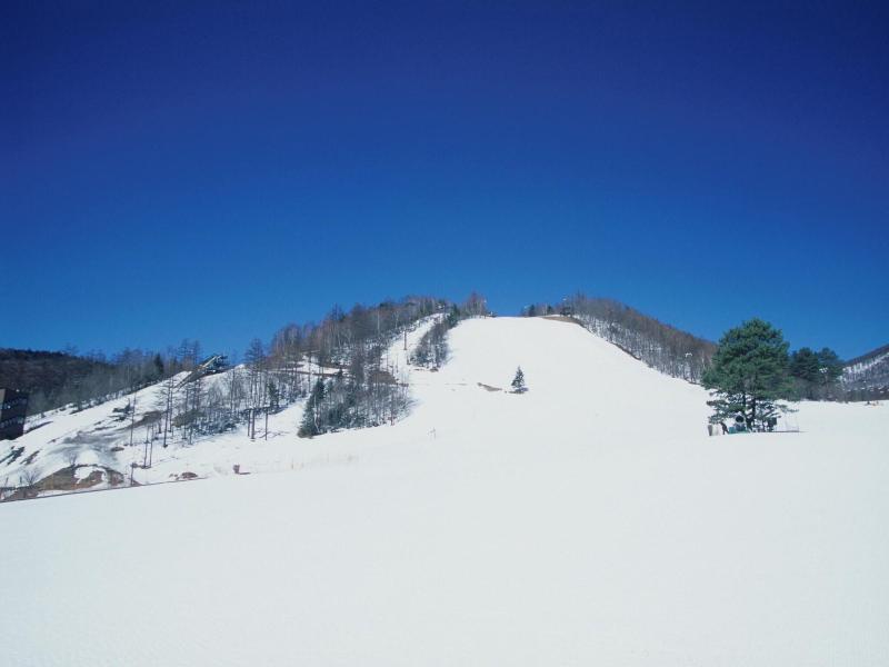 Kusatsu Onsen Sakurai image
