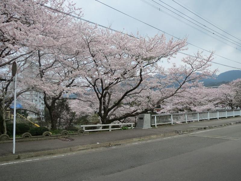 Hananoshizuku image